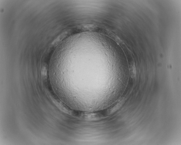 X0000070870472200607071927
