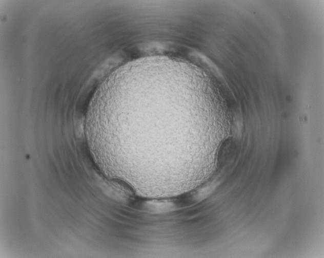 X0000070870477200607071927