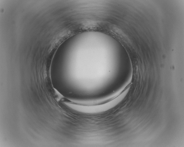 X0000070870508200607071926