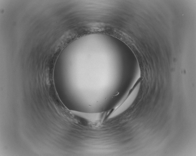 X0000070870512200607071926