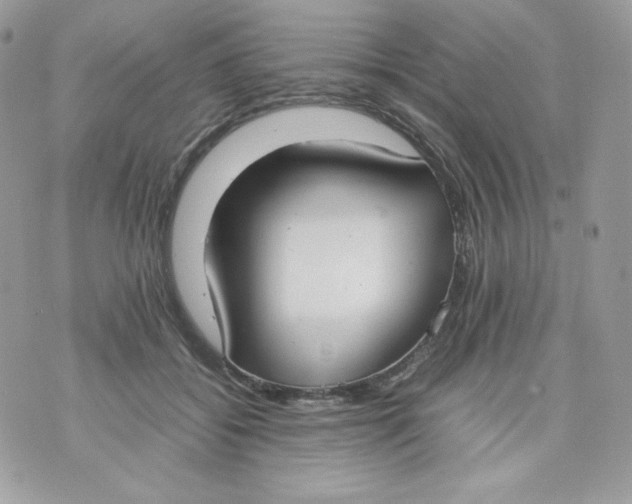 X0000070870556200607071925