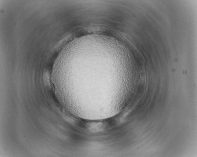 X0000070870575200607071926