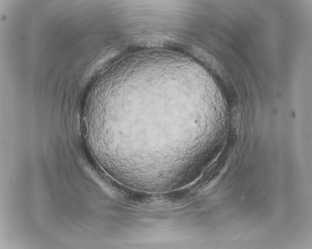 X0000070870589200607071925