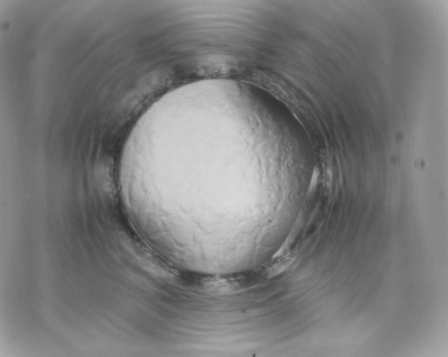 X0000070870616200607071924