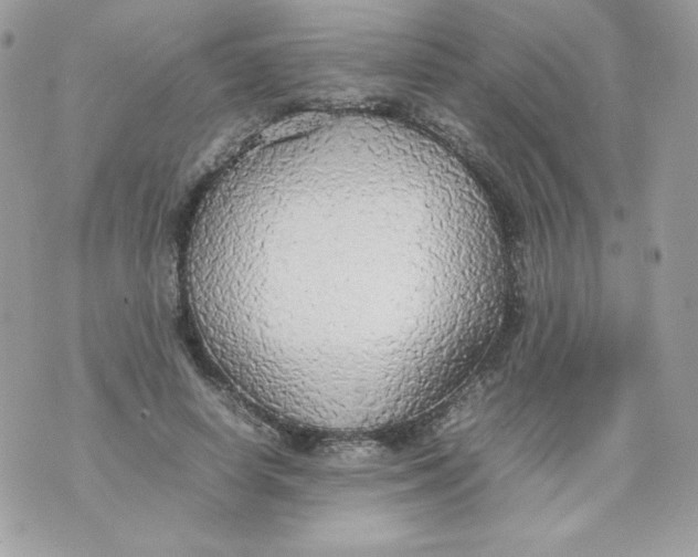 X0000070870642200607071924