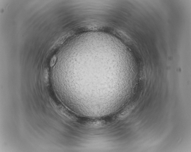 X0000070870646200607071924