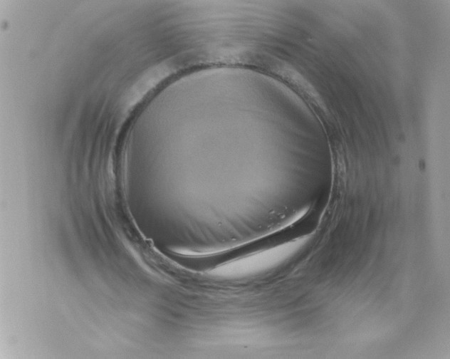 X0000070870674200607071923