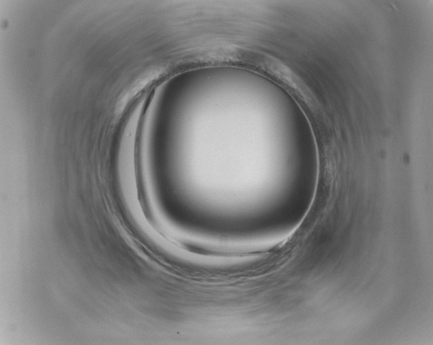 X0000070870677200607071923