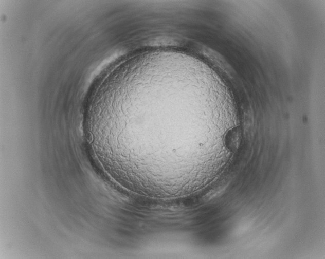X0000070870727200607071922