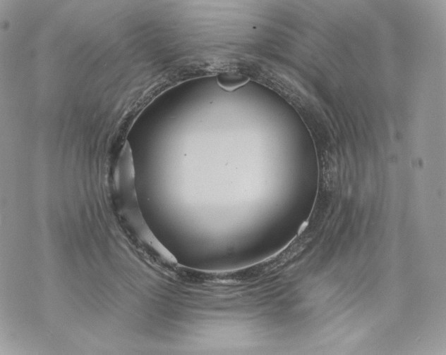X0000070870748200607071922