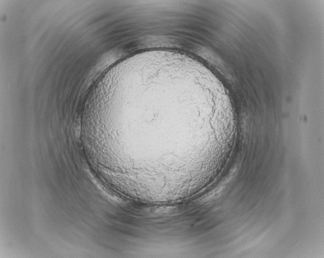 X0000070870841200607071921