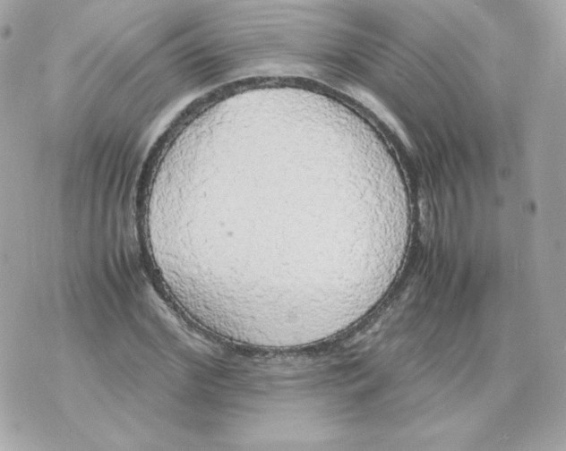 X0000070870972200607071918