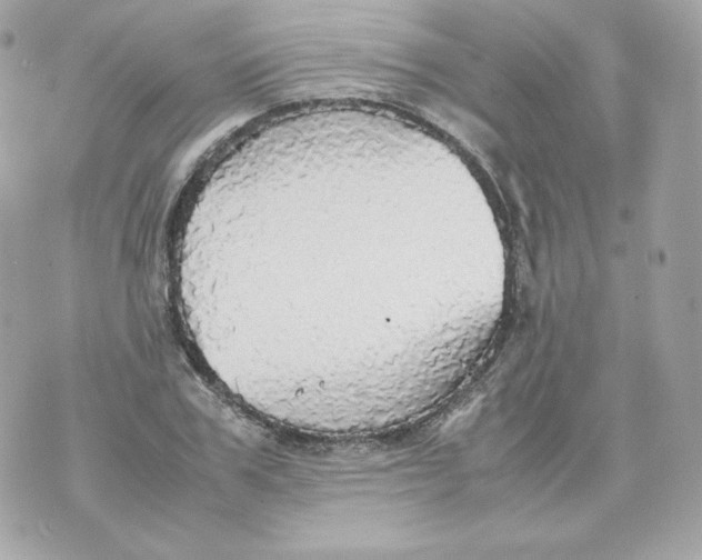 X0000070870979200607071918