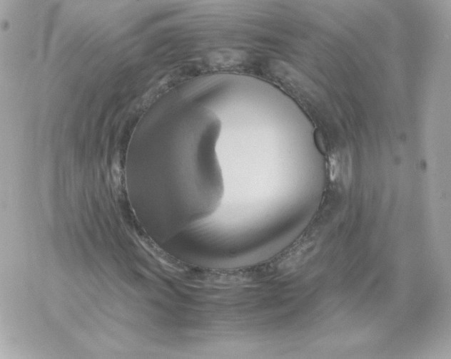 X0000070871011200607071917