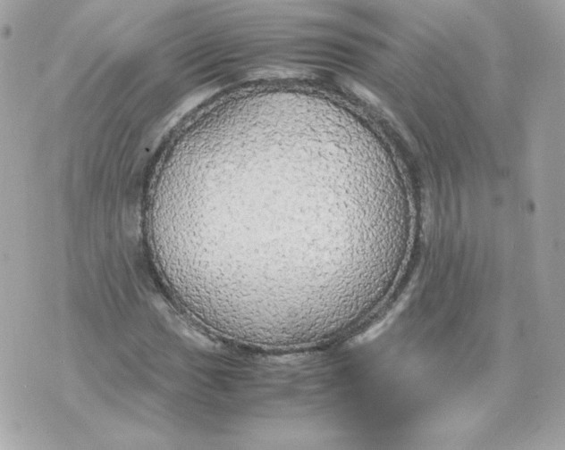 X0000070871017200607071917