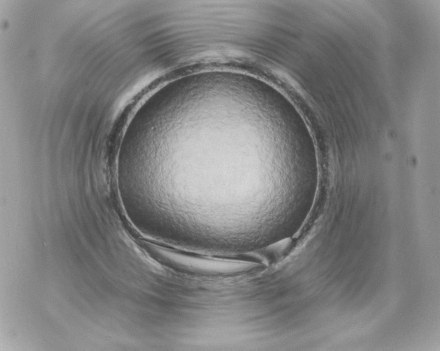 X0000070871018200607071917
