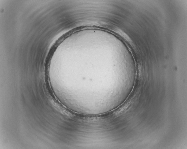 X0000070871020200607071917