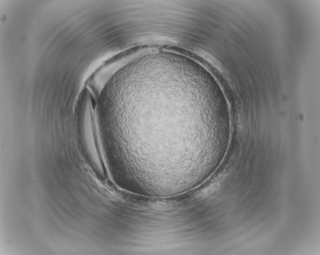 X0000070871022200607071917