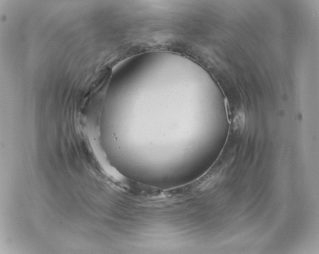 X0000070871156200607071915