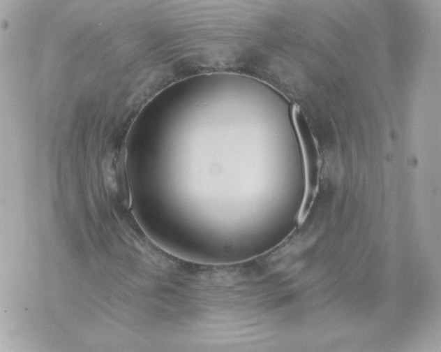 X0000070871202200607071914