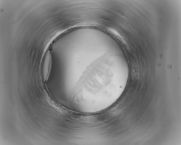 X0000070871276200607071913