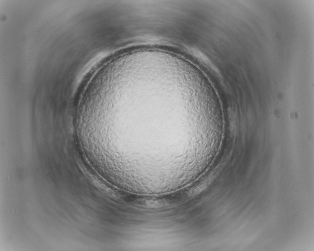 X0000070871318200607071913