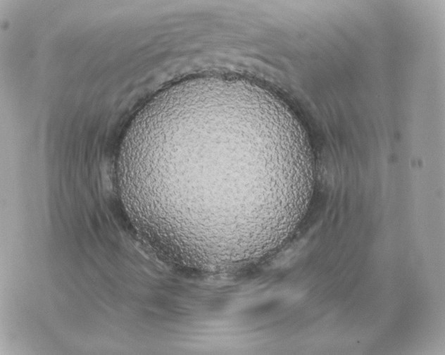 X0000070871490200607071909