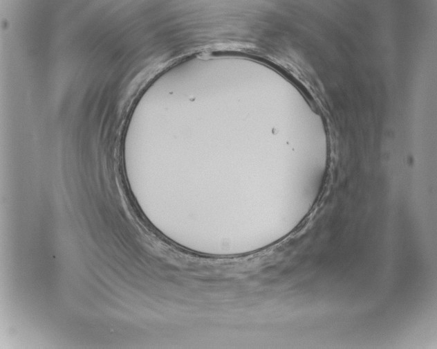 X0000070870001200607150133