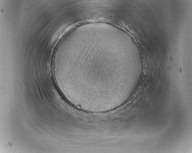 X0000070870002200607150133