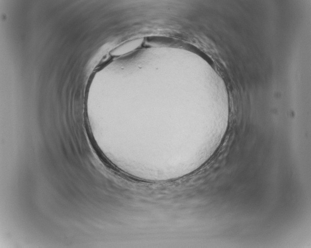 X0000070870003200607150133