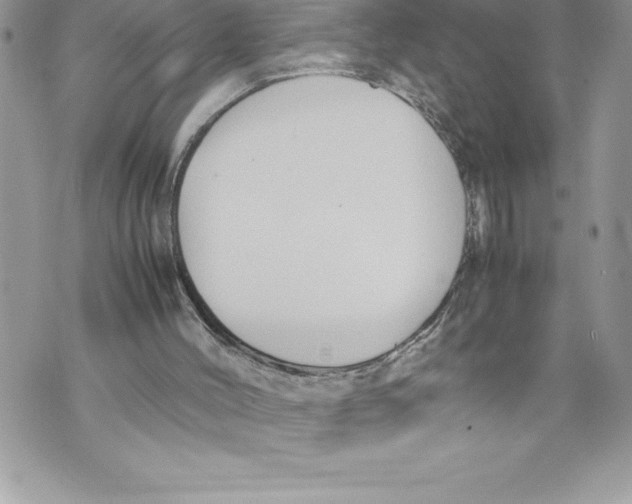 X0000070870004200607150133