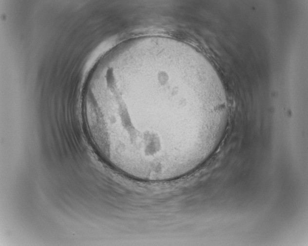 X0000070870006200607150133