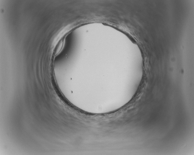 X0000070870007200607150133