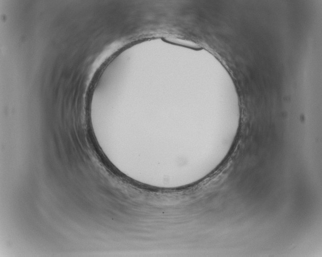 X0000070870008200607150133