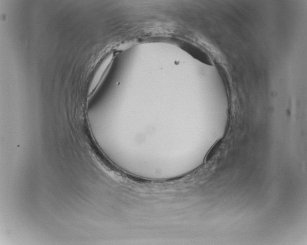 X0000070870009200607150133