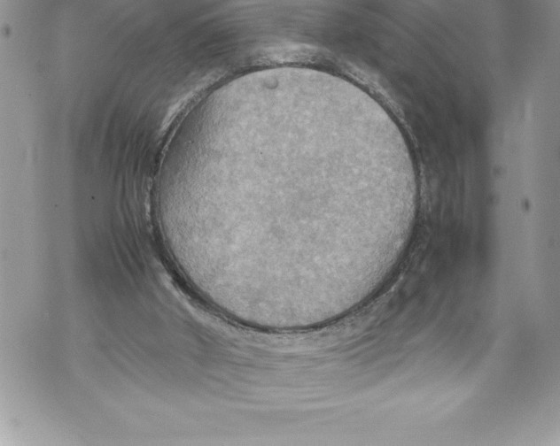 X0000070870010200607150133