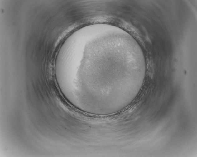 X0000070870012200607150133