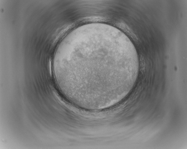 X0000070870014200607150133