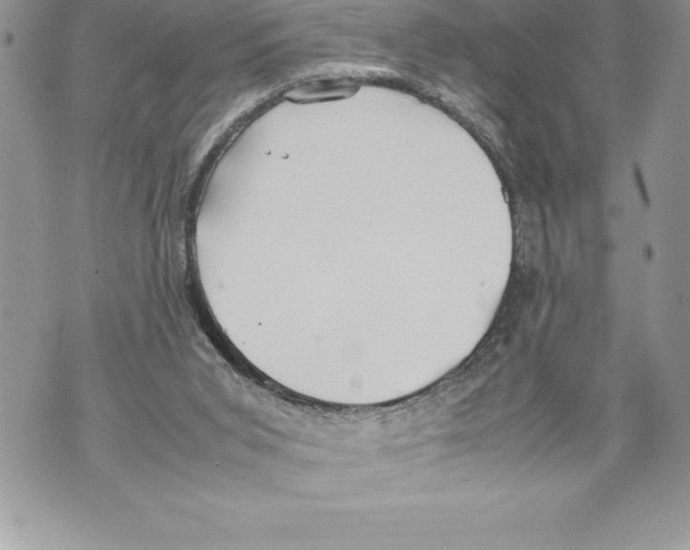 X0000070870015200607150133