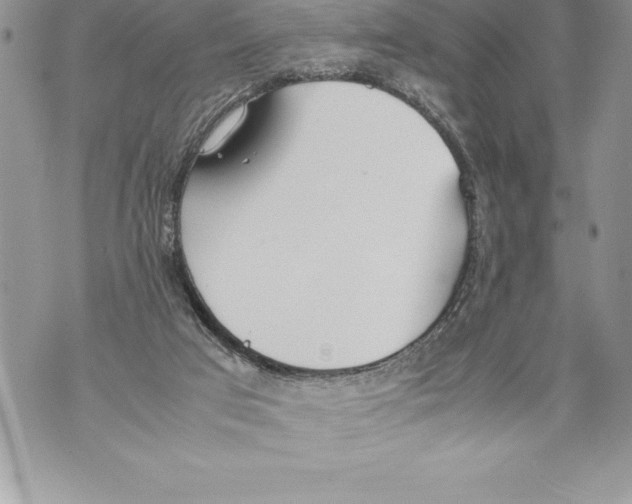 X0000070870017200607150133