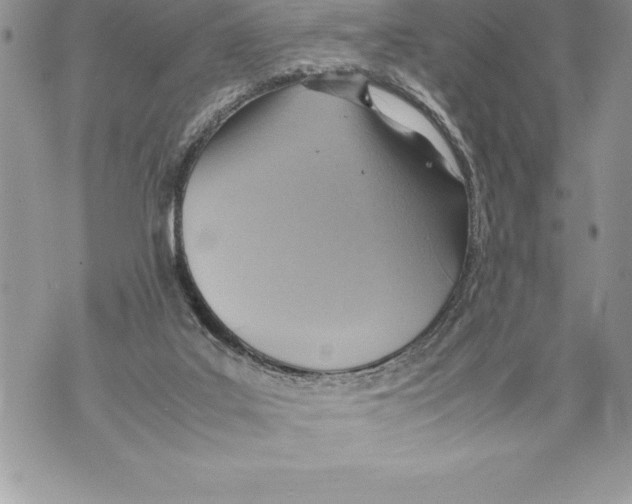 X0000070870019200607150132