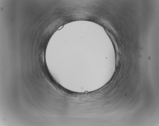 X0000070870021200607150132