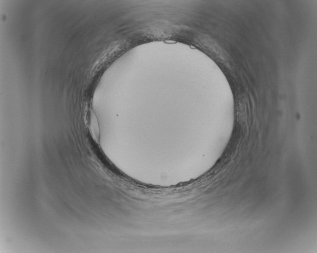 X0000070870023200607150132