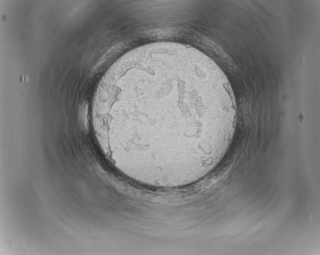 X0000070870024200607150132