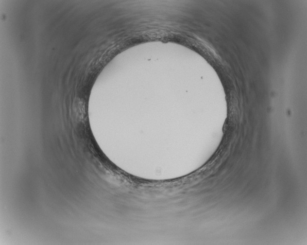 X0000070870025200607150132