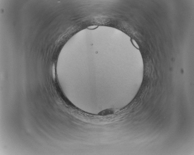 X0000070870027200607150132