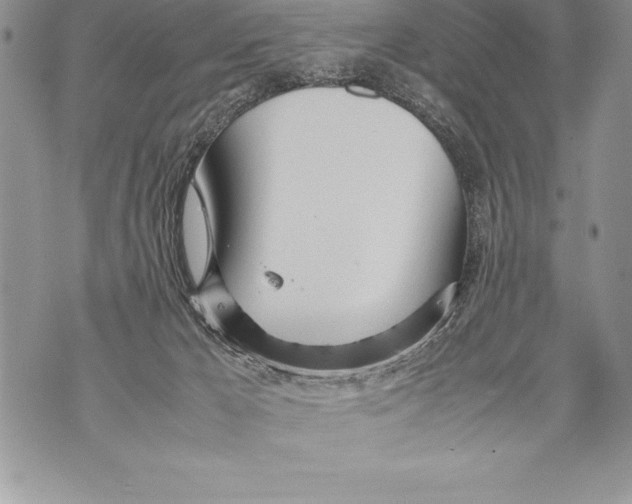 X0000070870029200607150132