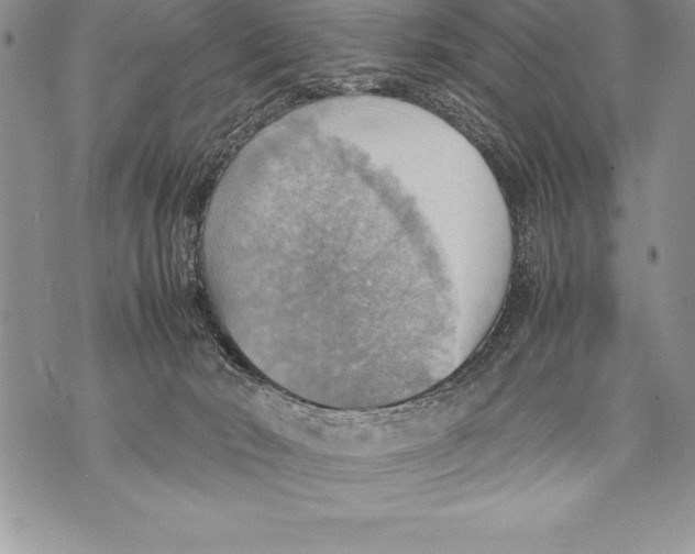 X0000070870030200607150132