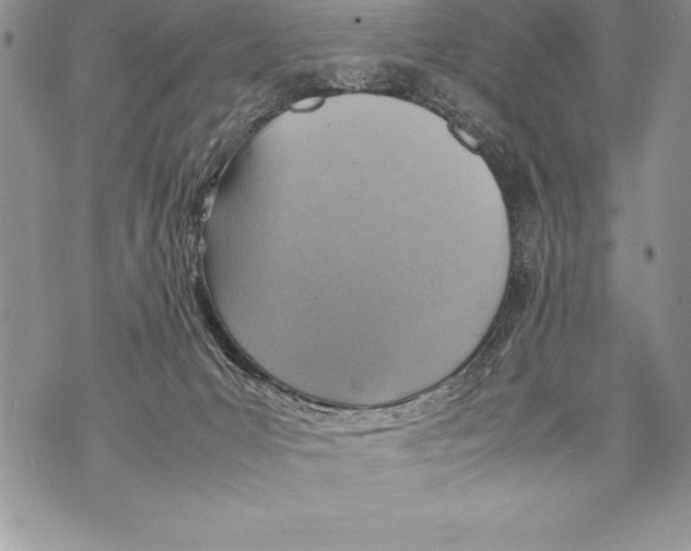 X0000070870031200607150132