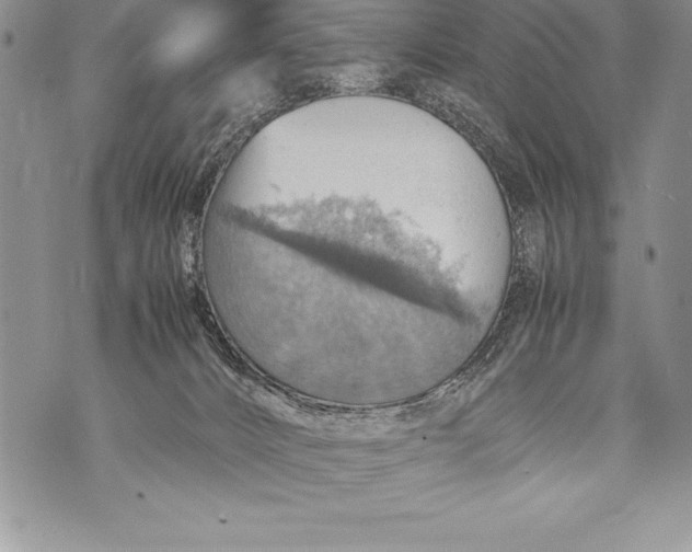 X0000070870032200607150132